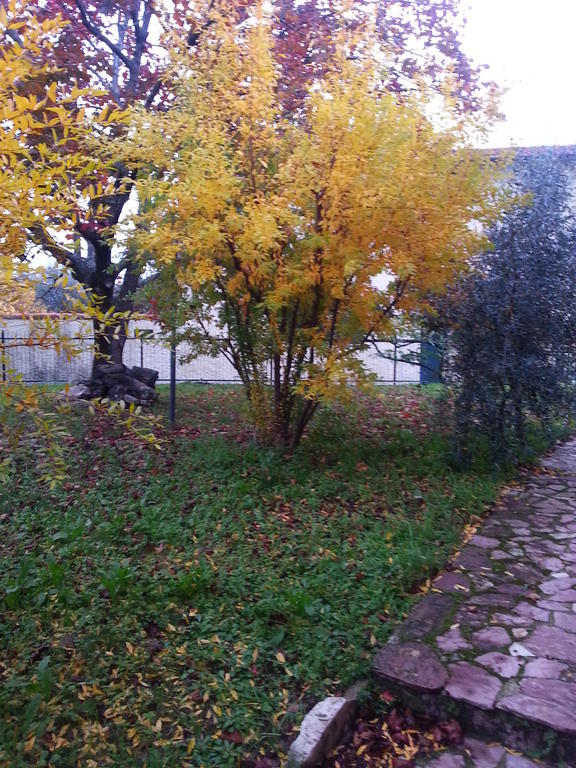 Gli Aceri B&B Аркола Екстер'єр фото