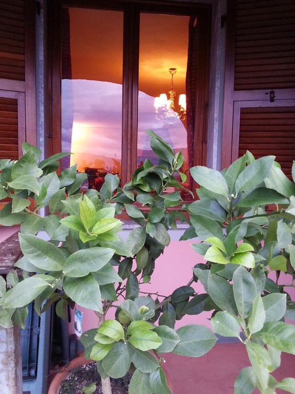 Gli Aceri B&B Аркола Екстер'єр фото